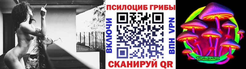 закладка hydra tor Галлюциногенные грибы Psilocybine cubensis Киров